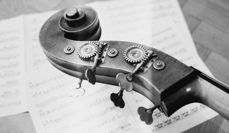 5-Saiter Schnecke © Lukas Growe Headstock of 5-String Doublebass